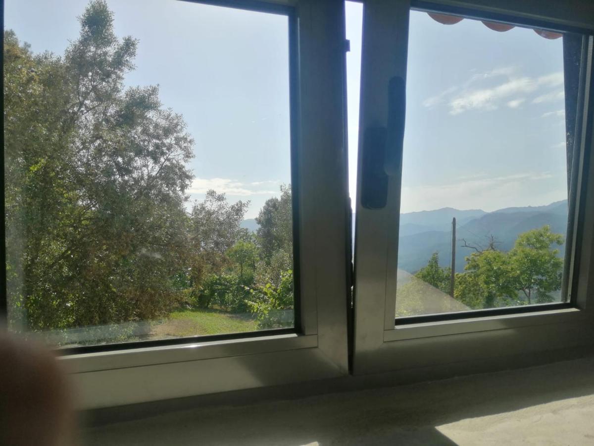 Casa Da Choqueira Villa Vieira do Minho Eksteriør billede